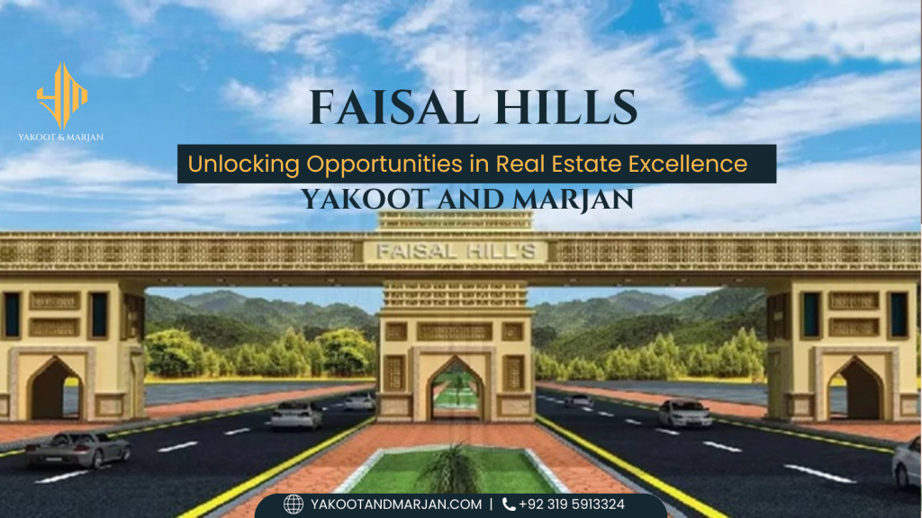 Faisal Hills Main Image